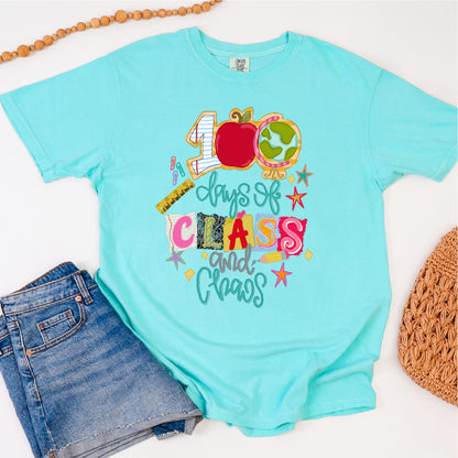 100 Days of School | 100 Days of Class & Chaos